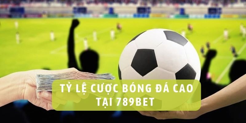 cá cược bóng đá