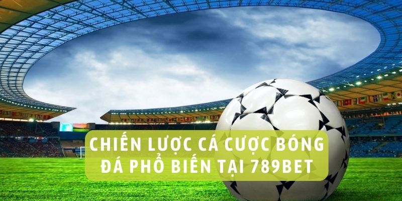 cá cược bóng đá