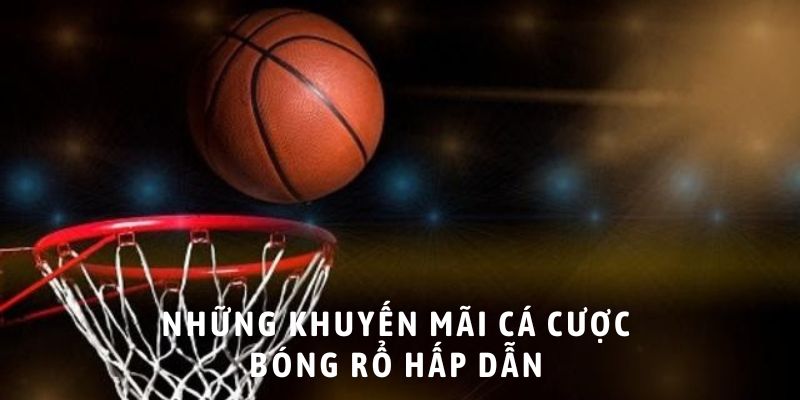 cá cược bóng rổ